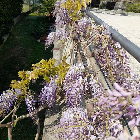 Invorio InferioreCasa Germanaアパートメント エクステリア 写真